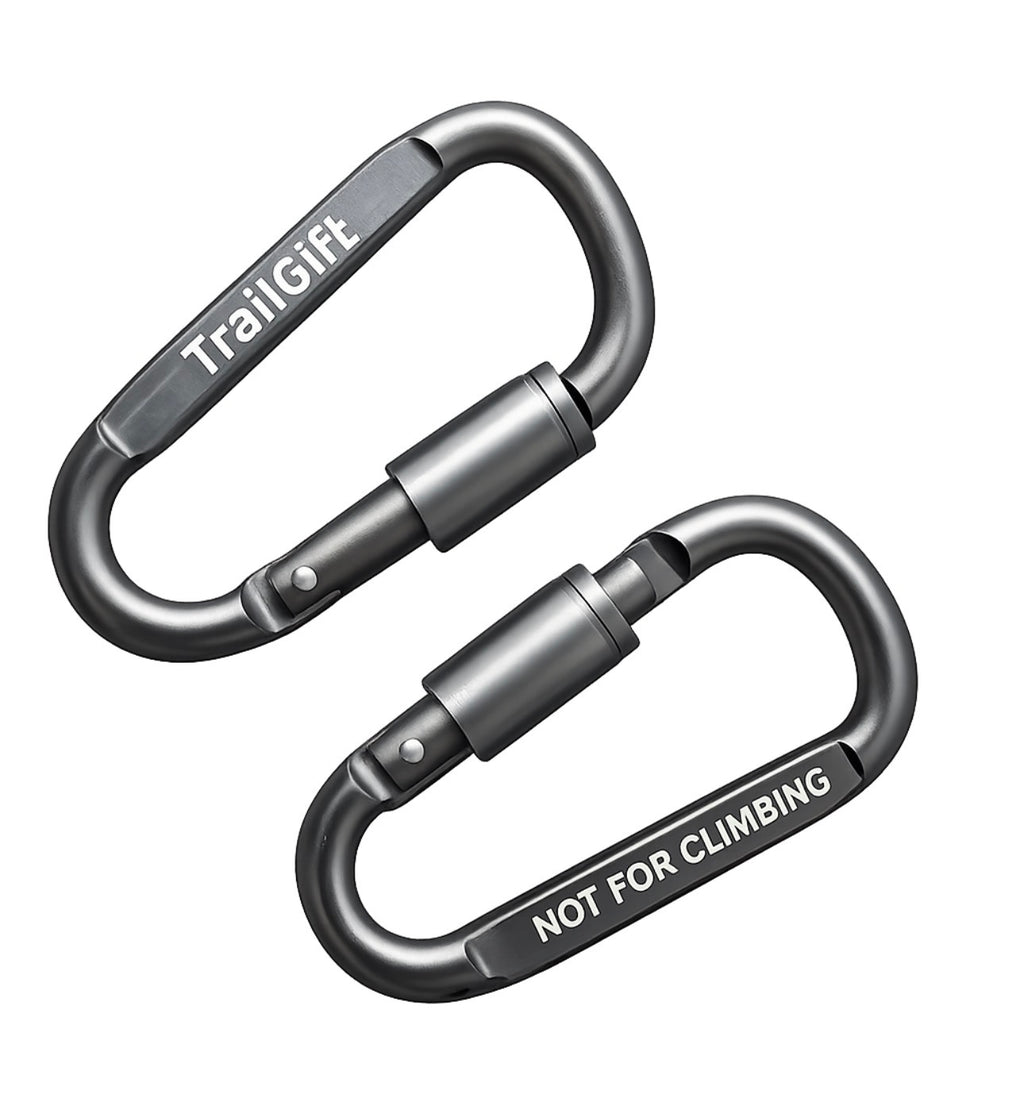 Carabiners (2 pack)